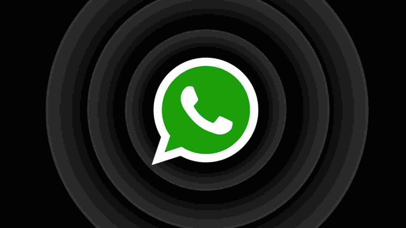 Exciting Update: WhatsApp Beta Users Receive New In-App Dialer
