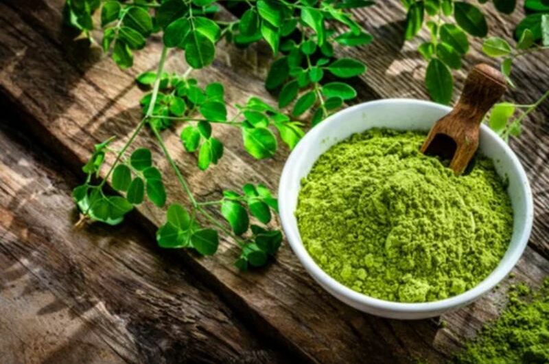 Eating Fresh Moringa Leaves on an Empty Stomach has 4 Amazing Benefits