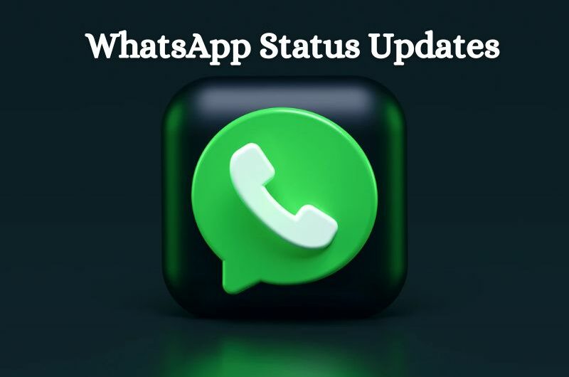 WhatsApp Status Updates Add Music in Your Stories to Upgrade Them Musically